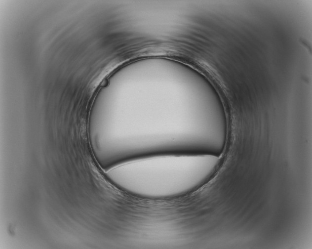 X0000103141465200808221053