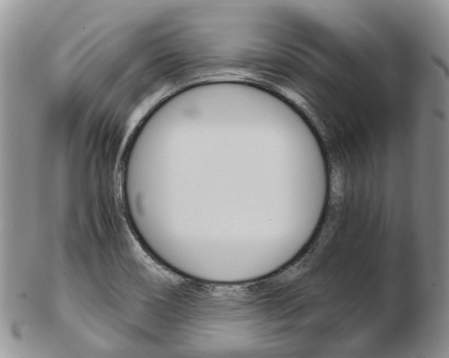 X0000103141466200808221053