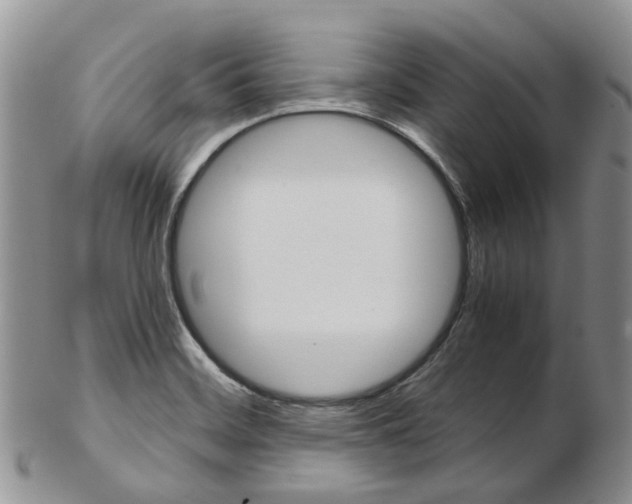 X0000103141468200808221053