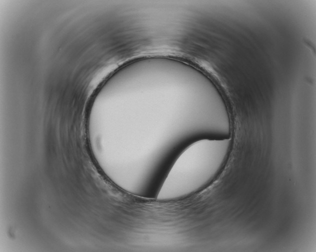 X0000103141469200808221053