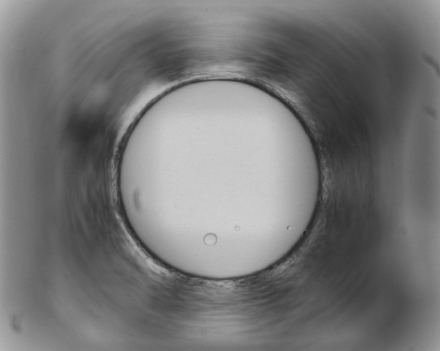 X0000103141470200808221053