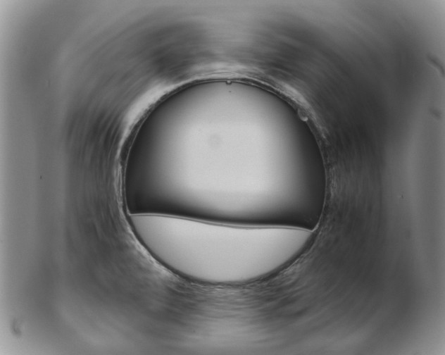 X0000103141472200808221053