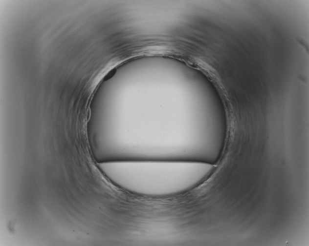 X0000103141473200808221053