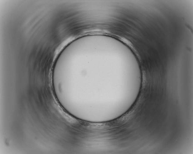 X0000103141474200808221053