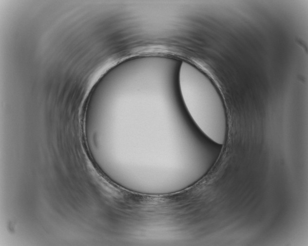 X0000103141475200808221053