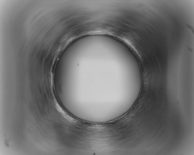 X0000103141476200808221053