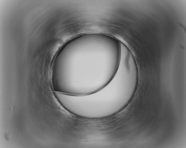 X0000103141477200808221053