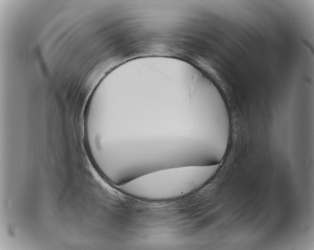 X0000103141479200808221053