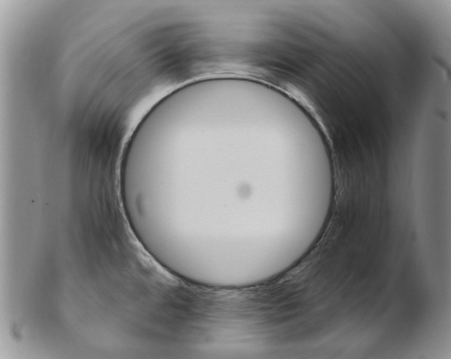 X0000103141480200808221053