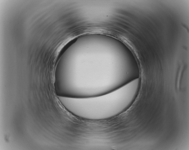 X0000103141481200808221053