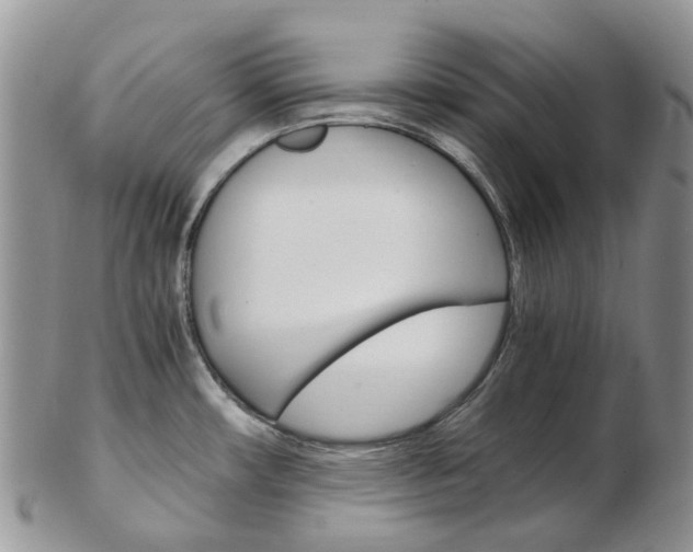 X0000103141482200808221053