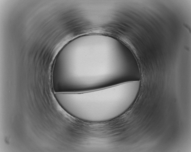 X0000103141483200808221053