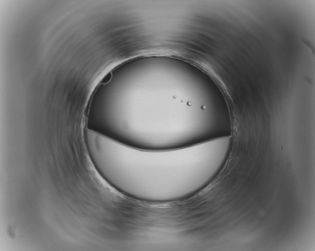 X0000103141484200808221053