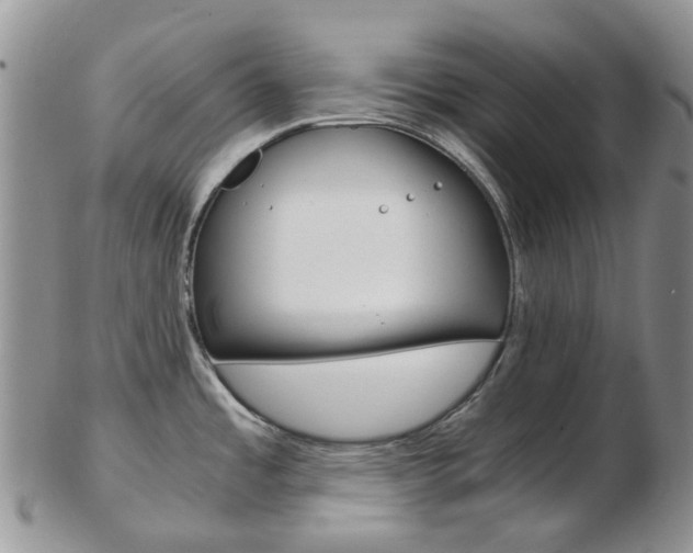 X0000103141485200808221053