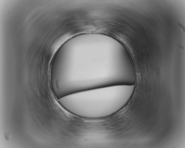 X0000103141487200808221053