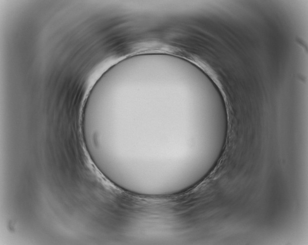 X0000103141488200808221053