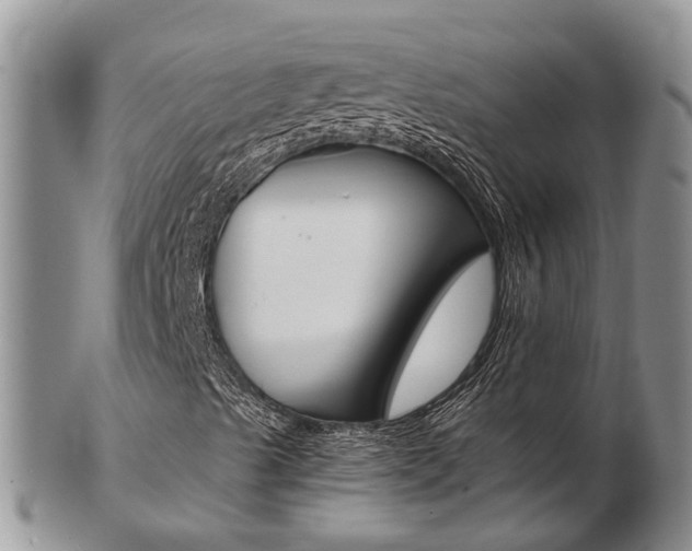 X0000103141489200808221052