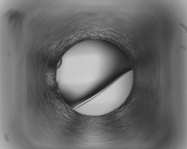 X0000103141490200808221052