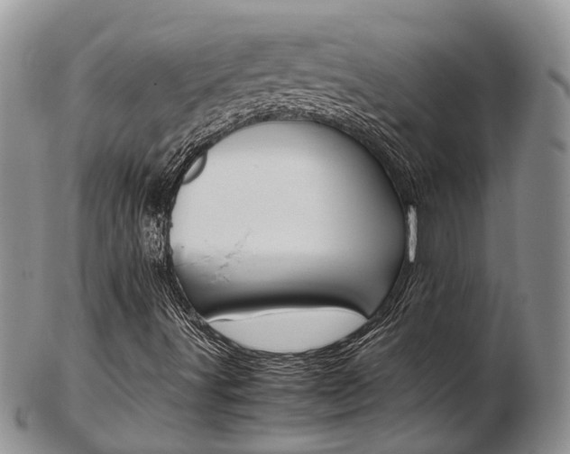 X0000103141491200808221052