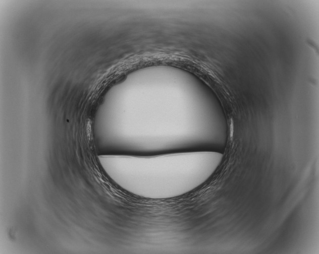 X0000103141492200808221052