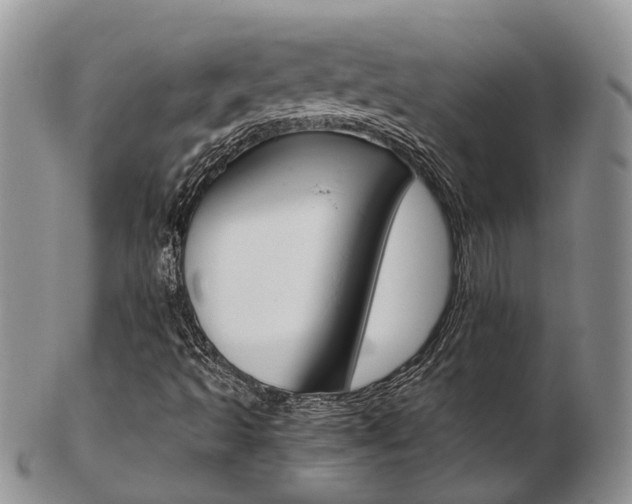 X0000103141493200808221052