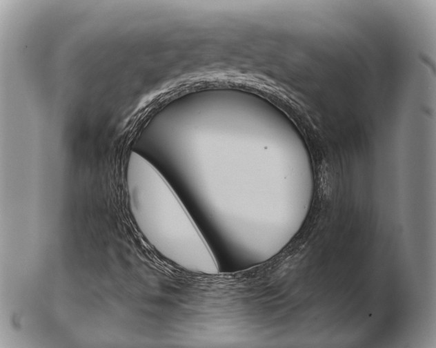 X0000103141494200808221052