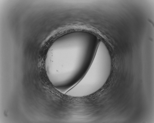 X0000103141495200808221052