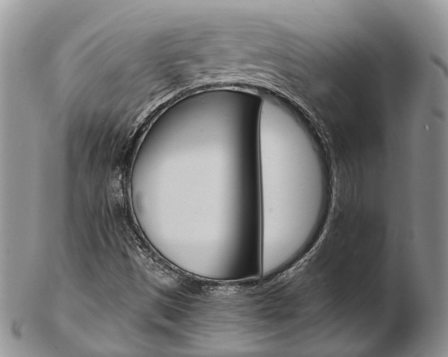 X0000103141497200808221052