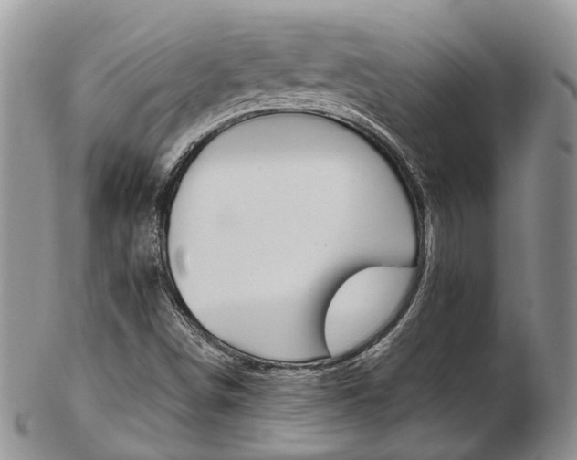 X0000103141498200808221052
