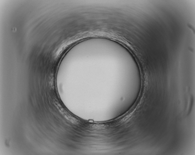 X0000103141499200808221052