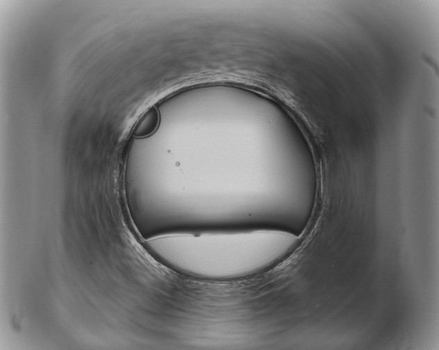 X0000103141500200808221052