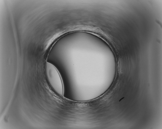 X0000103141501200808221052