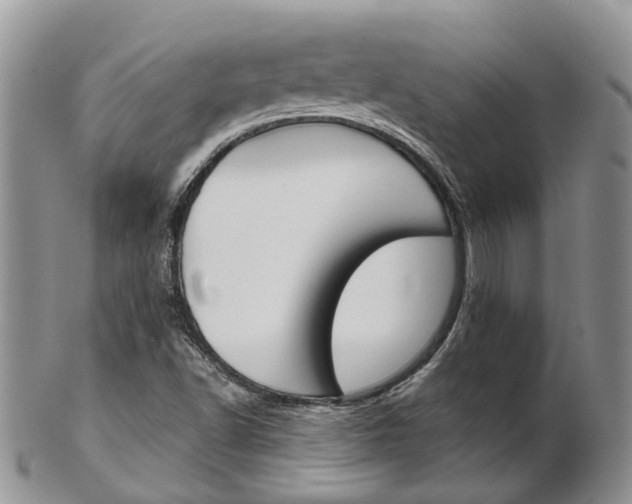X0000103141502200808221052
