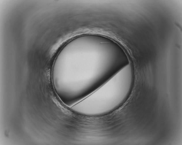 X0000103141503200808221052