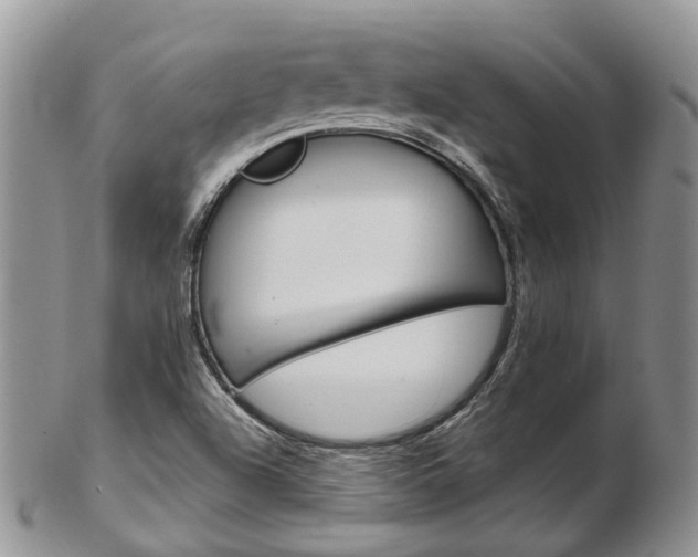 X0000103141504200808221052