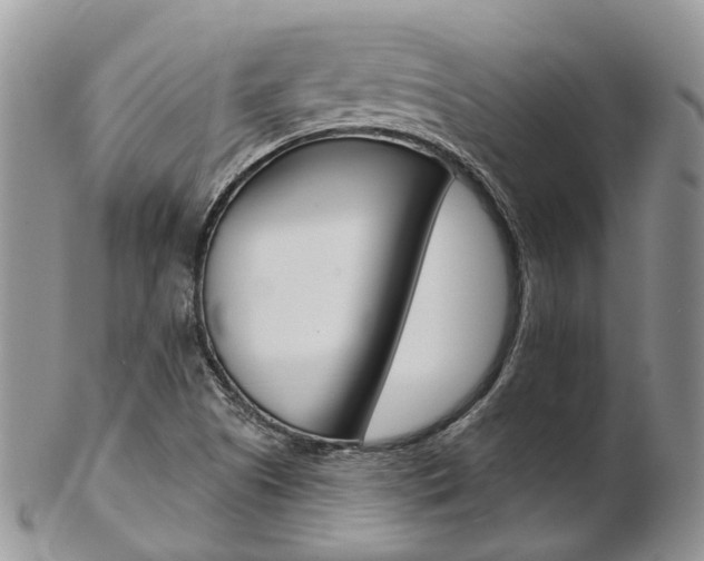 X0000103141505200808221052