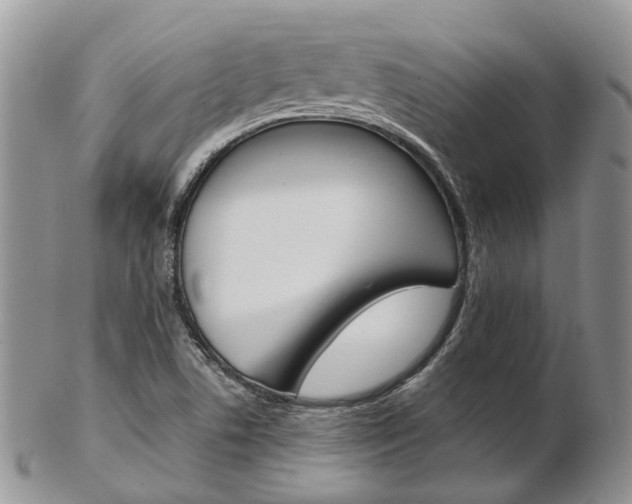 X0000103141506200808221052