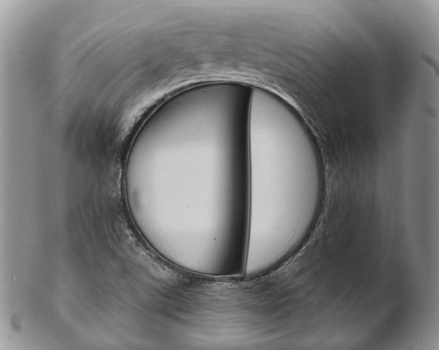 X0000103141507200808221052