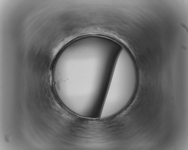 X0000103141509200808221052