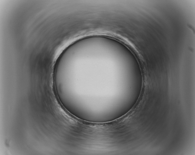 X0000103141512200808221052