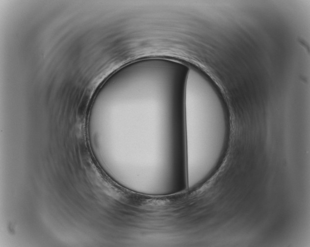 X0000103141513200808221052