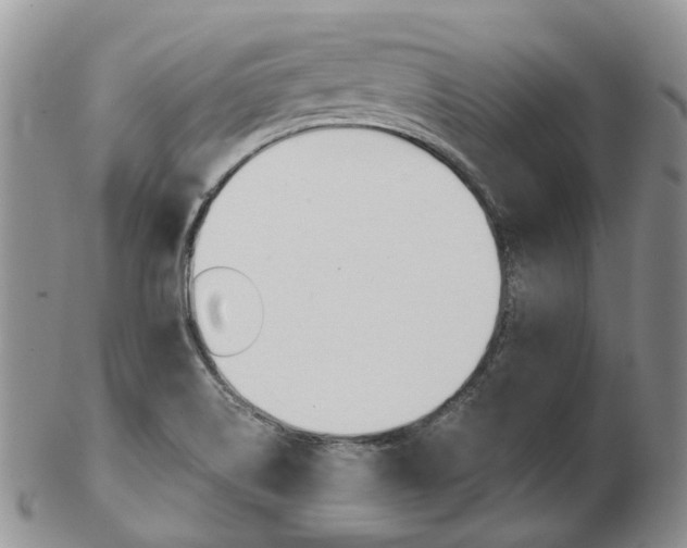 X0000103141514200808221052