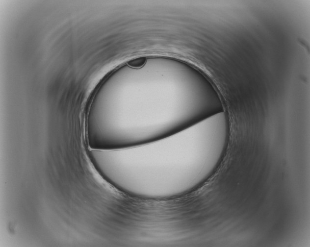 X0000103141515200808221052