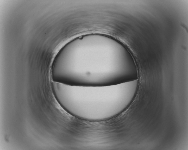 X0000103141516200808221052