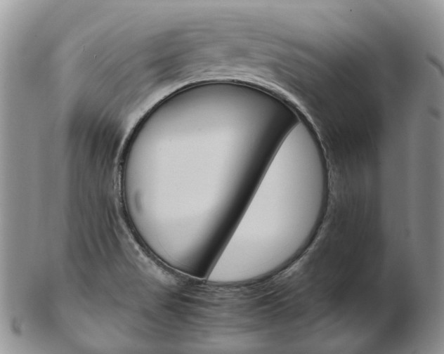 X0000103141517200808221052