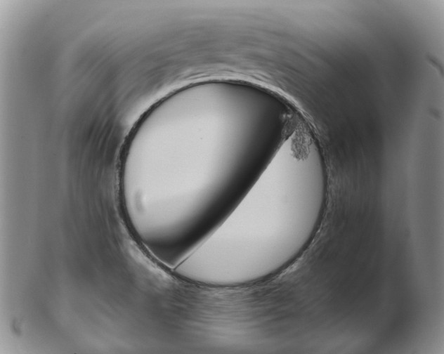 X0000103141518200808221052