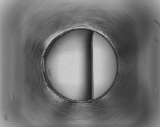 X0000103141519200808221053