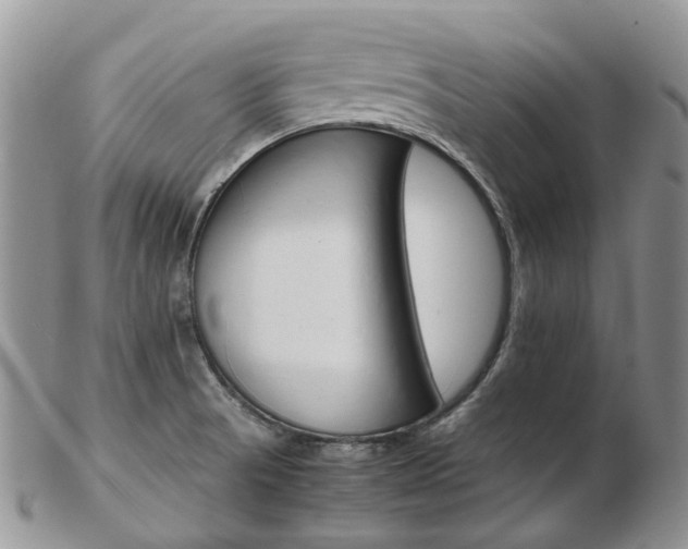 X0000103141521200808221053