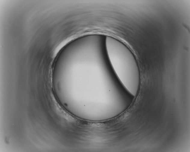 X0000103141522200808221053