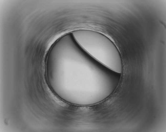 X0000103141523200808221053